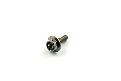 Stainless Steel Honda Front Disc Rotor Bolt - S/Steel Race Spec M6