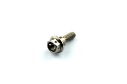 Suzuki / Yamaha Front Disc Rotor Bolt- S/Steel M6 Race Spec