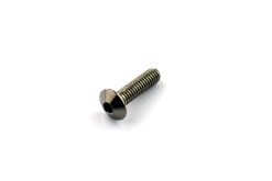 Titanium Screen Bolt M4 x 0.7mm x 15mm