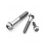 Flanged Hex Head Bolts