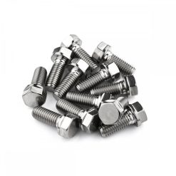 Aprilia RSV4 1100 2019 Titanium Front Disc Brake Rotor Bolt Kit
