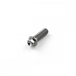 Titanium Hex Extra Small Head Bolt M8 x 1.25mm x 25mm