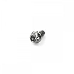 Titanium Race Drilled Hex Head Bolt M5 x 0.8mm x 10mm