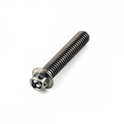 Titanium Hex XS Head Bolt M6 x 1.0mm x 30mm