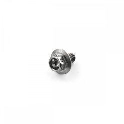 Titanium Race Large Hex Head Bolt M6 x 1.0mm x 10mm x 14mm Flange Diameter