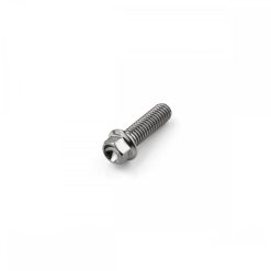 Titanium Hex Extra Small Head Bolt M6 x 1.00mm  x 20mm
