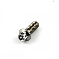 Stainless Race Drilled Hex XS Head Bolt M6 x 1.0mm x 16mm