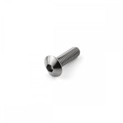 Stainless Steel Dome Head Bolt Extra Small Head M6 x 1.0mm x 30mm