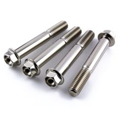 Kawasaki ZX6R 03-04 Titanium Hex Front Caliper Mounting Bolts