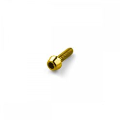 Titanium Tapered Socket Cap Bolt M3 x 0.5mm x 10mm Gold