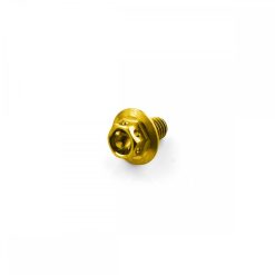 Titanium Race Large Flanged Hex Head Bolt M6 x 1.0mm x 10mm x 14mm Flange Diameter Gold
