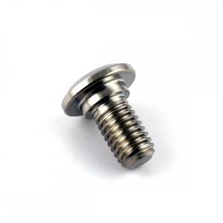 Titanium BMW Rear Disc Bolt M8 x 1.25mm x 16mm
