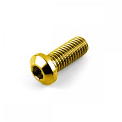 Ducati/Aprilia Titanium Front Disc Bolt M8 x 1.25mm x 20mm Allen Key Gold