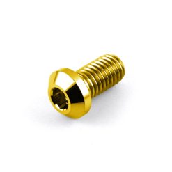 Titanium Ducati Rear Disc Bolt M8 x 1.25mm x 15mm Gold