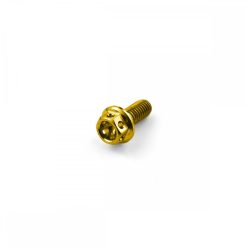 Titanium Race Drilled Hex Head Bolt M5 x 0.8mm x 12mm Gold