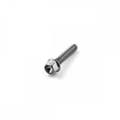 Titanium Hex Head Bolt M4 x 0.7mm x 20mm