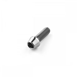 Stainless Steel Tapered Socket Cap Bolt M10 x 1.5mm x 30mm