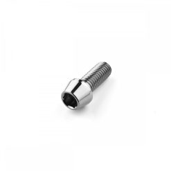 Stainless Steel Tapered Socket Cap Bolt M10 x 1.5mm x 25mm