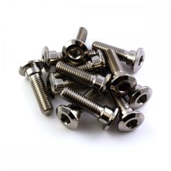 Kawasaki ZXR750 L/M 1993 Titanium Front Disc Bolt Kit