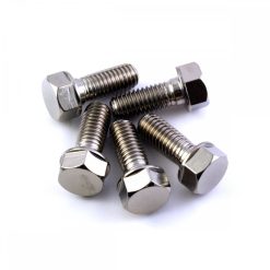 Aprilia RSV4 FACTORY 09-10 Stainless Rear Disc Bolt Kit