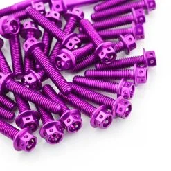 Kawasaki NINJA 400 2018+ Aluminium Race Drilled Hex Engine Kit - Violet