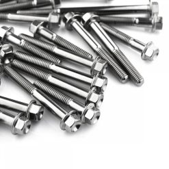 Kawasaki ZX10R 16+ Stainless Steel Hex Head Engine Bolt Kit