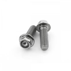 Kawasaki ZZR1400 18+ Stainless Hex Rear Caliper Mounting Bolts