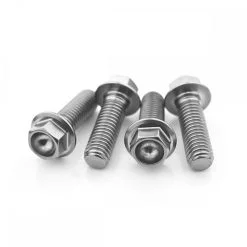 Kawasaki H2R 17+ Stainless Steel Hex Head Footrest Bolt Kit