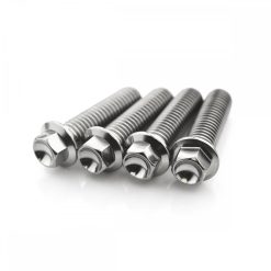 Aprilia Capanord 1000 04-07 Stainless Socket Cap Front Axle Pinch Bolt Kit