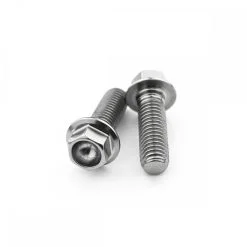 Kawasaki Ninja 400 2018+ Stainless Hex Front Caliper Mounting Bolts