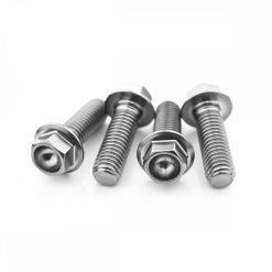 Kawasaki ZXR750 L/M 1993 Titanium Flanged Hex Front Caliper Mounting Bolts