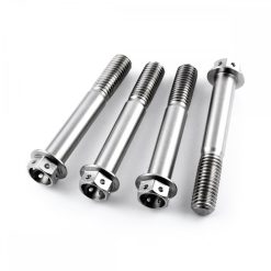 Kawasaki ZZR1400 13+ Stainless Race Hex Front Caliper Mounting Bolts