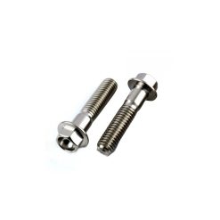 KTM 1190 RC8 08-15 Stainless Steel Rear Caliper Pinch Bolt Kit