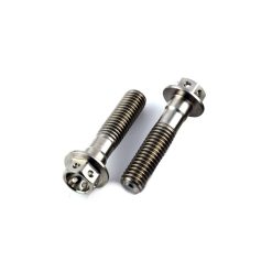 KTM 1190 RC8 08-15 Titanium Race Spec Rear Caliper Pinch Bolt Kit
