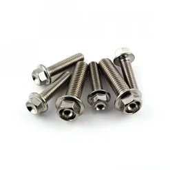 KTM 250 SX 08-09 Stainless Steel Brake & Clutch Perch Pinch Bolts