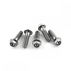 Kawasaki Z900 17-20 Titanium Front Caliper Pinch Bolt Kit