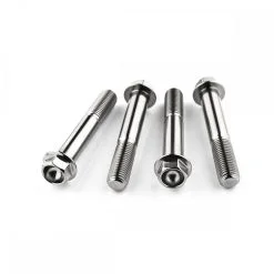 Kawasaki ZX10R D6F-D7FA NINJA 06-07 Stainless  Hex Front Caliper Mounting Bolts