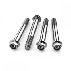 Kawasaki ZX10R E8F-E9FA NINJA 08-09 Titanium  Hex Front Caliper Mounting Bolts