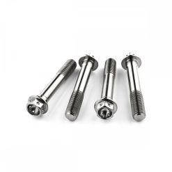 Kawasaki ZX636 B1-B2 NINJA 03-04 Titanium Race Drilled Front Caliper Bolt Kit