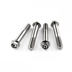 Kawasaki ZX636C1-C2 NINJA 05-06 Stainless  Hex Front Caliper Mounting Bolts