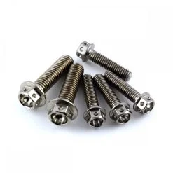 Suzuki GSF1200S BANDIT 01-05 Stainless Steel Brake & Clutch Perch Pinch Bolts