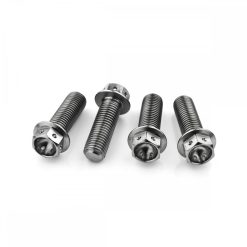 Suzuki GSF1200S BANDIT T-Y 96-00 Titanium Hex Front Caliper Mounting Bolts