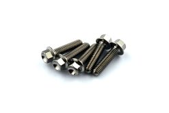 KTM  1290 Superduke R 14+ Titanium Rear Disc Brake Bolt Kit