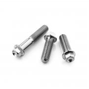 Flanged XS Hex Head Bolts